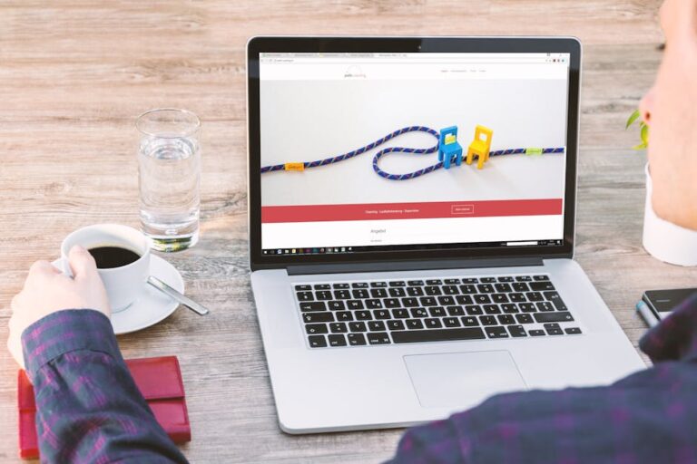 Ecommerce, Web Design, WordPress, WordPress Maintenance