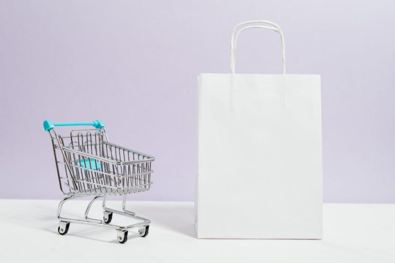 Ecommerce, Web Design, WordPress, WordPress Maintenance